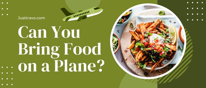 Can you Bring Food on a Plane? TSA Rules For Food Items 2024