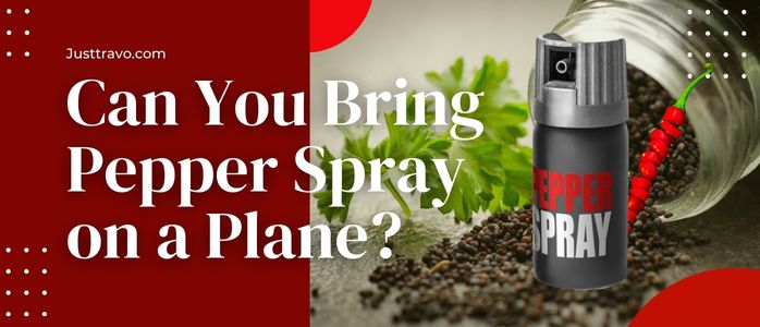 Can You Bring Pepper Spray On A Plane? Fly With Self Defense Spray