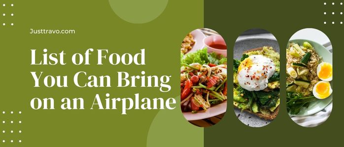 List of Food You Can Bring on an Airplane 