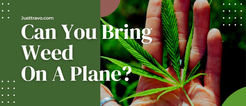 Can You Bring Weed On A Plane? Flying With Marijuana/Weed