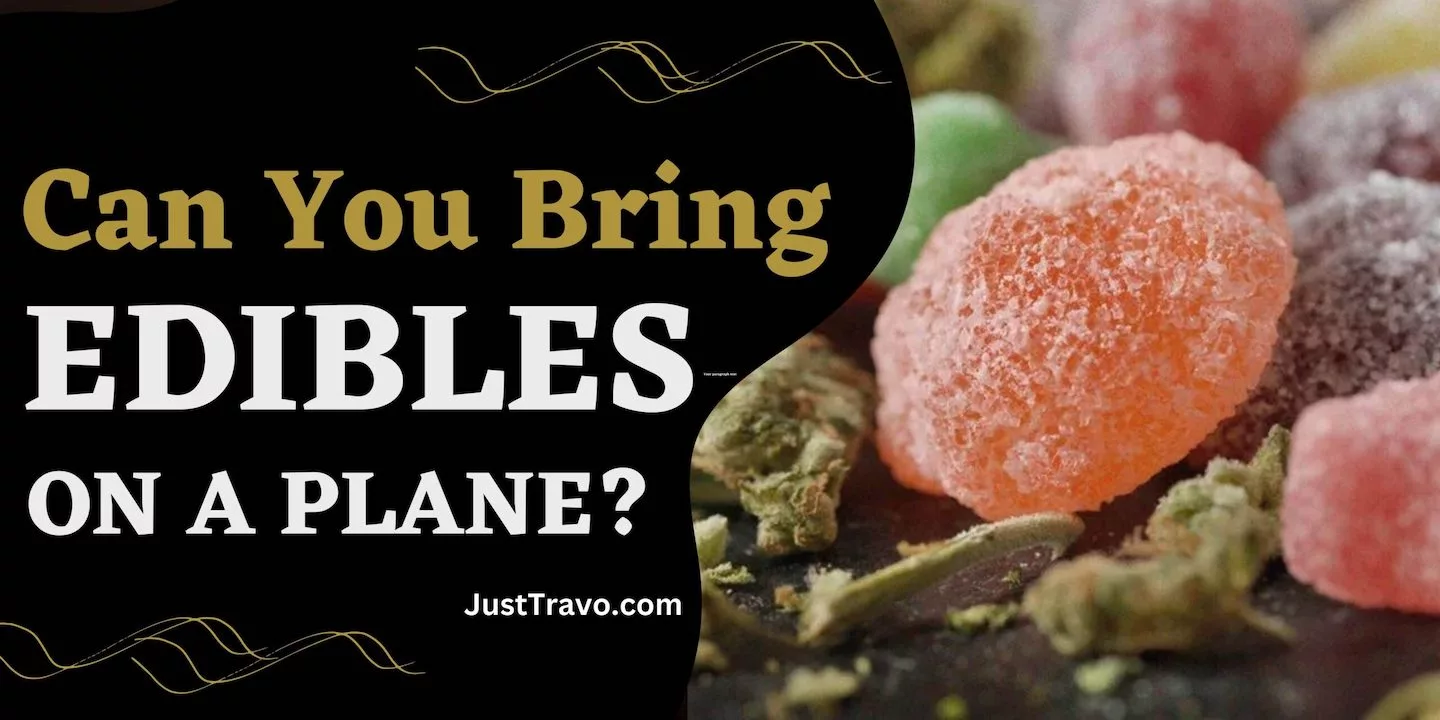 Can You Bring Edibles On A Plane?