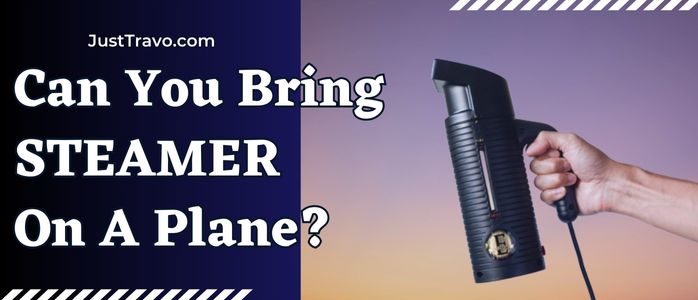 Can You Bring A Steamer On A Plane?