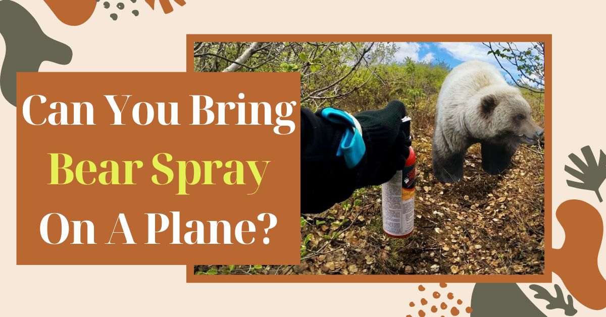 can you bring bear spray on a plane