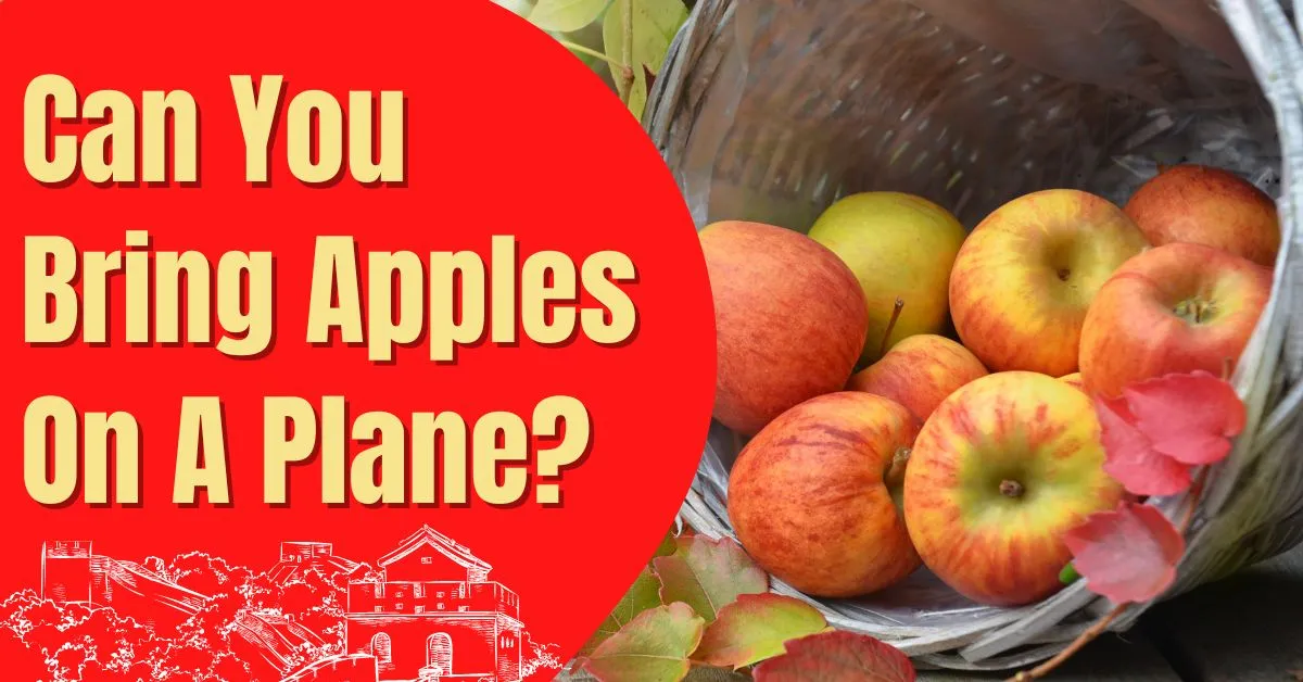 Can You Bring Apples On A Plane? (Through TSA)
