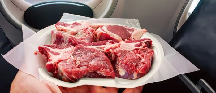 Can You Bring Raw Meat On A Plane