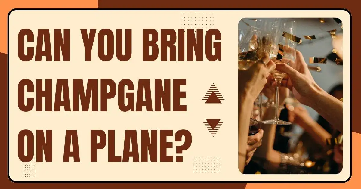 Can You Bring Champagne On A Plane?
